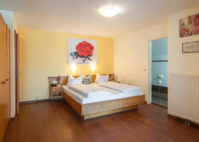 Deva Hotel Renchtalblick